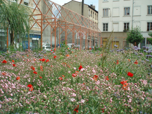 Café Histoire des jardins samedi 3 décembre