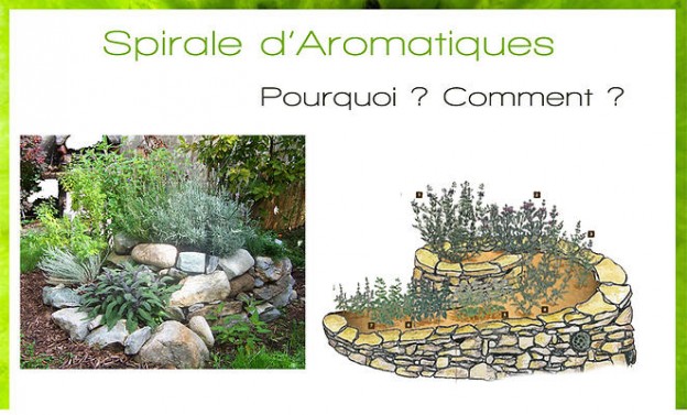 Venez participer à la création d&rsquo;une spirale d&rsquo;aromatiques !