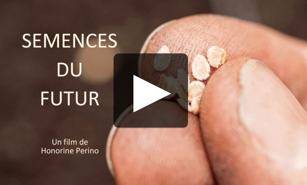Nouveau film pour la liberté des semences !