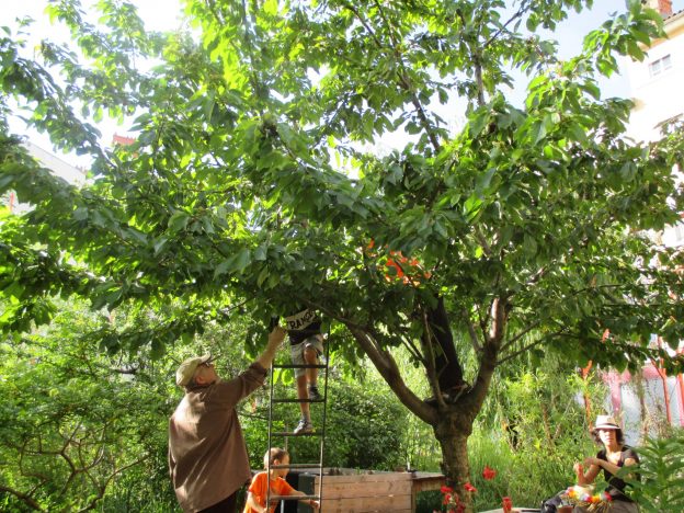 Samedi 4 juin café Histoire des jardins et jardinage