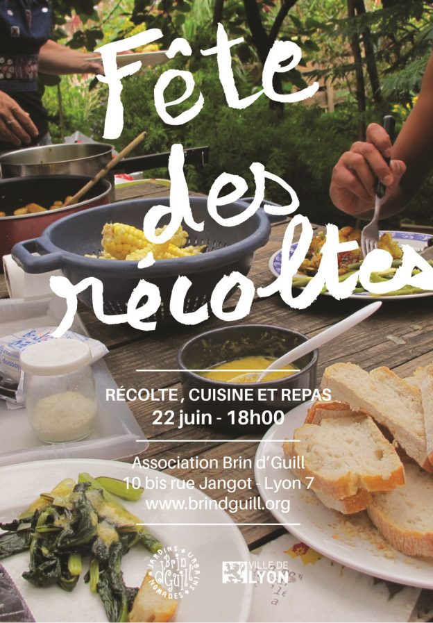 Récoltes et cuisine mercredi 22 juin aux jardins
