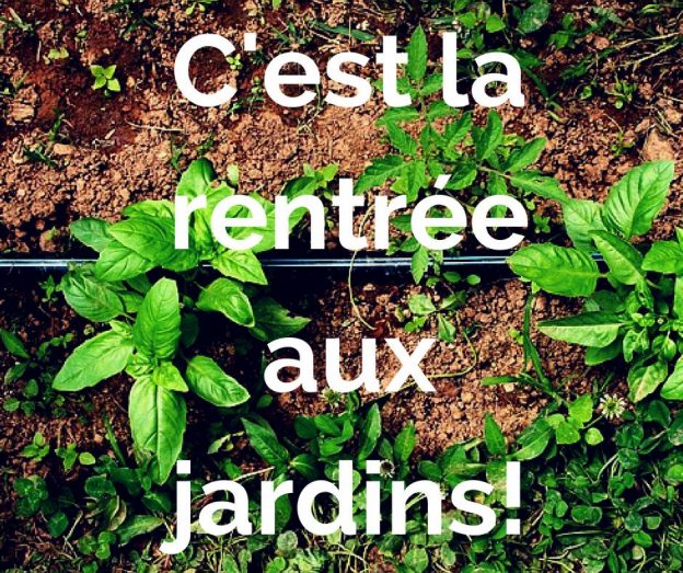 Histoire des jardins et visites samedi 7 janvier