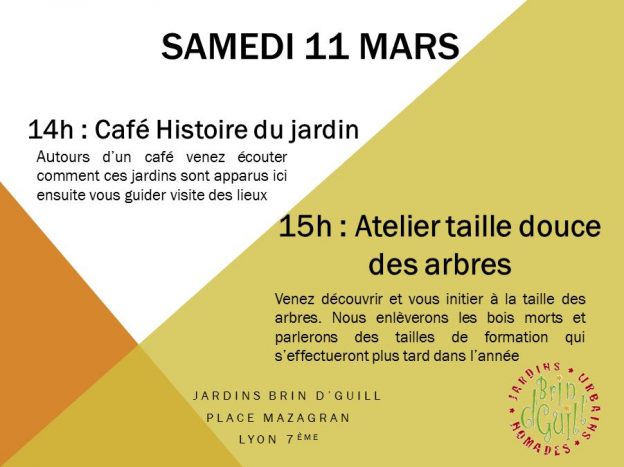 Samedi 11 mars : taille douce des arbres