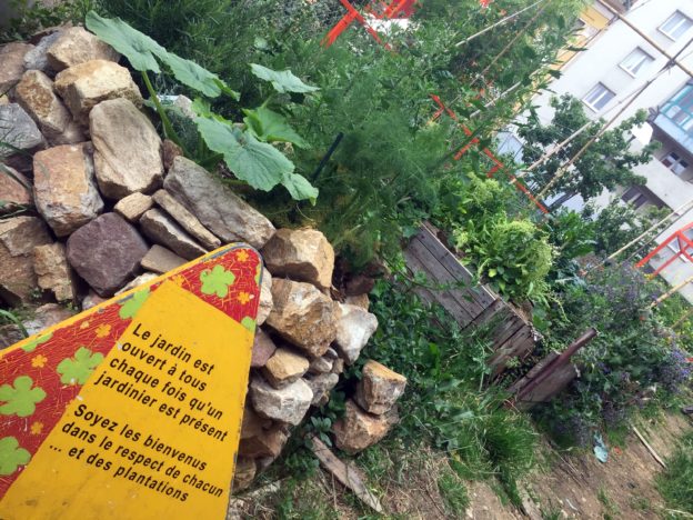 Les rdv de février des jardins