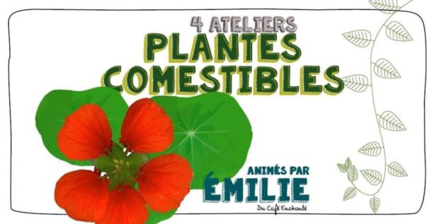 Fabrication d&rsquo;un herbier enfants/adultes 20.01